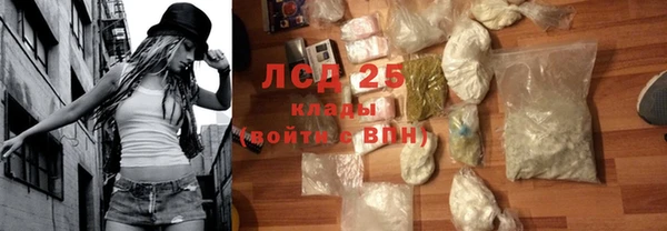 стаф Алексин