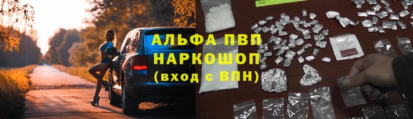 эйфоретик Алзамай