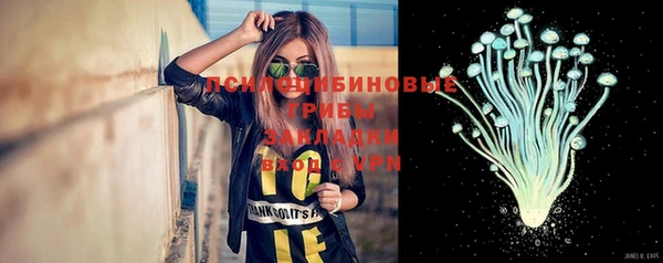 apvp Алексеевка