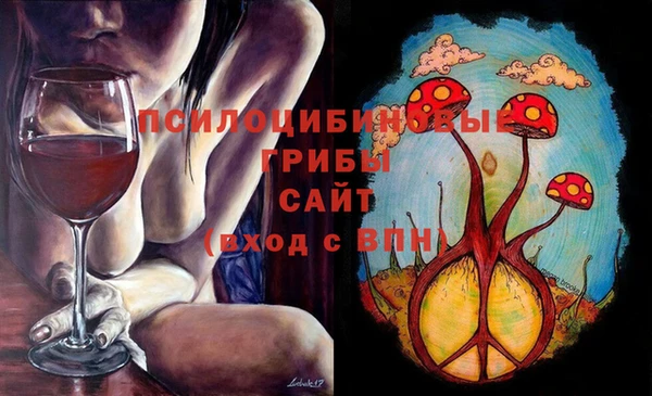 apvp Алексеевка