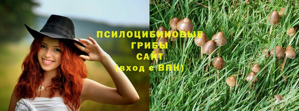 apvp Алексеевка