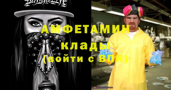 стаф Алексин