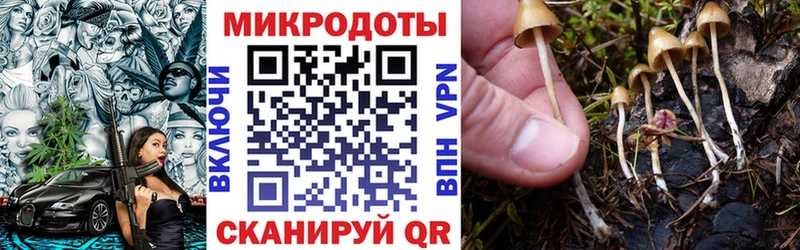 купить закладку  Сортавала  Галлюциногенные грибы Psilocybe 